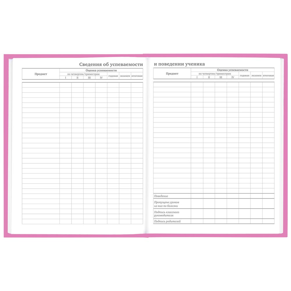 Дневник 1-11 класс 48 л., твердый, BRAUBERG, глянцевая ламинация, с подсказом, 