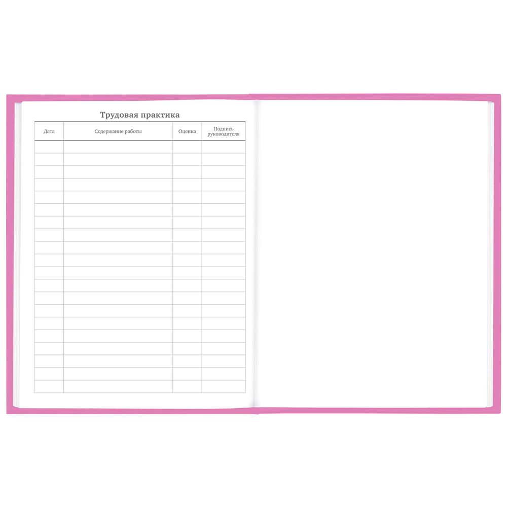 Дневник 1-11 класс 48 л., твердый, BRAUBERG, глянцевая ламинация, с подсказом, 