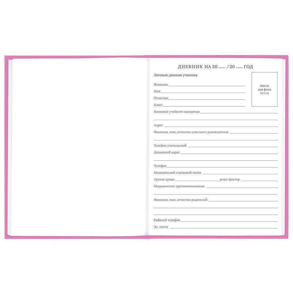 Дневник 1-11 класс 48 л., твердый, BRAUBERG, глянцевая ламинация, с подсказом, 