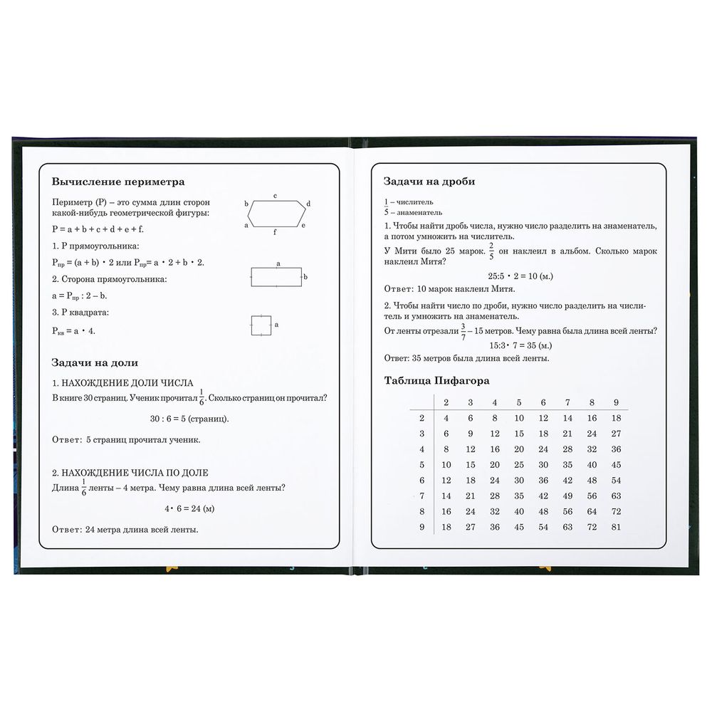 Дневник 1-4 класс 48 л., твердый, BRAUBERG, глянцевая ламинация, с подсказом, 