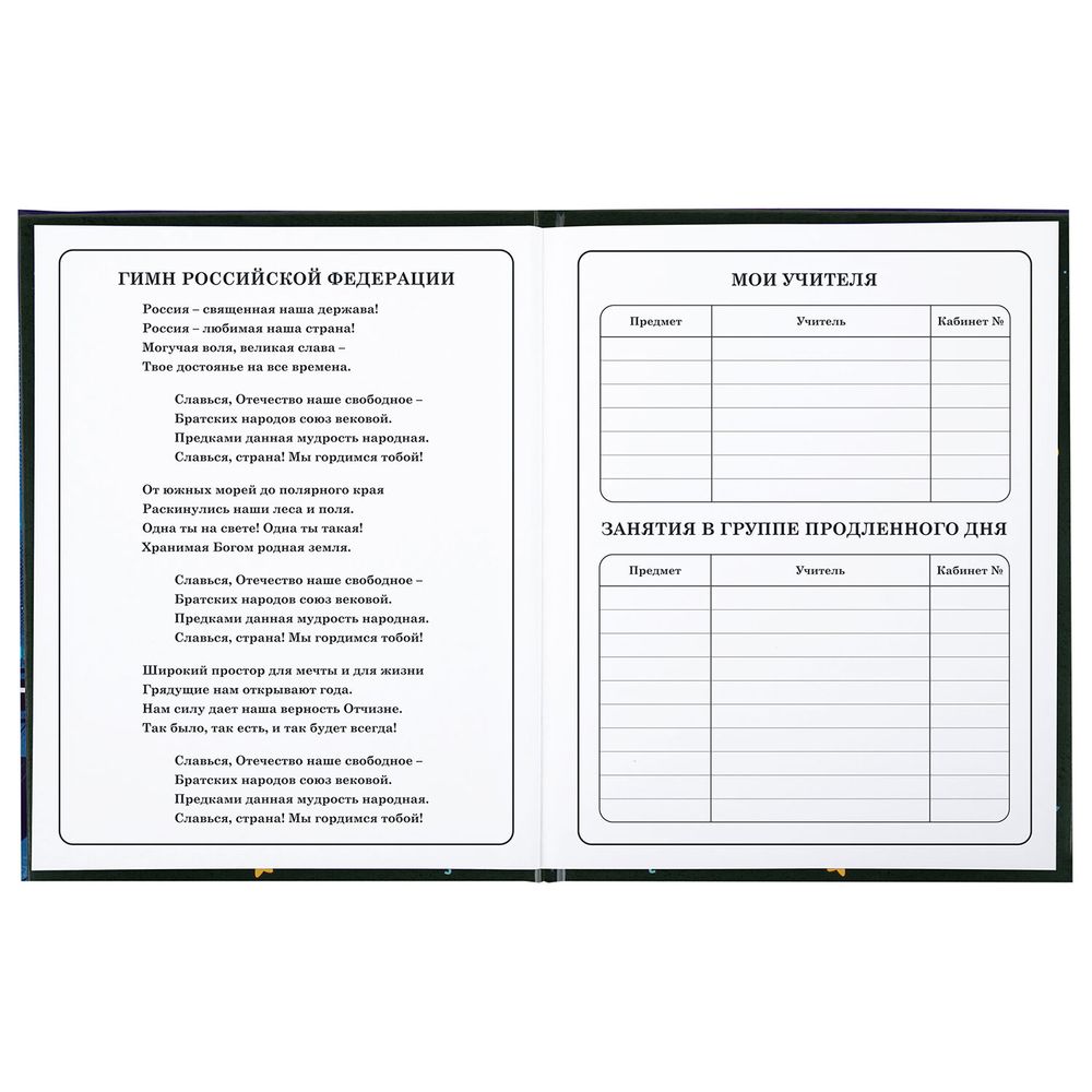 Дневник 1-4 класс 48 л., твердый, BRAUBERG, глянцевая ламинация, с подсказом, 