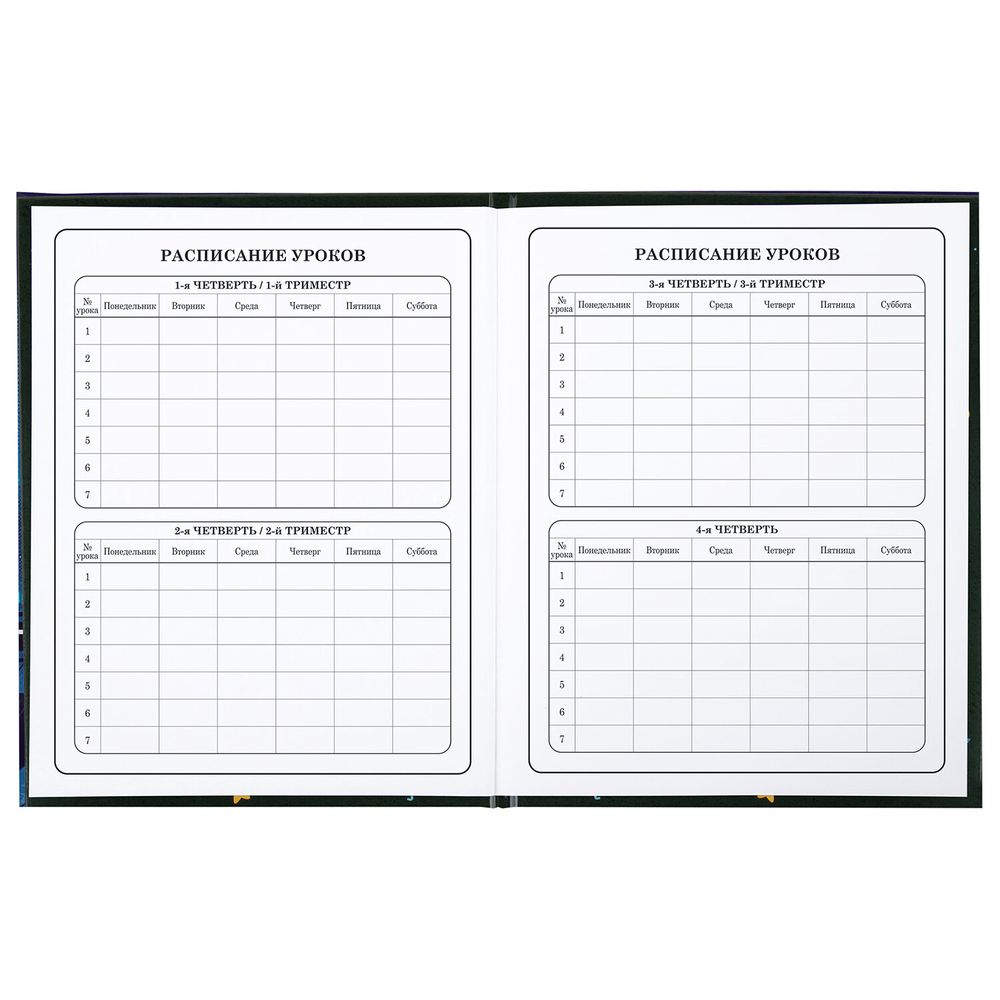 Дневник 1-4 класс 48 л., твердый, BRAUBERG, глянцевая ламинация, с подсказом, 