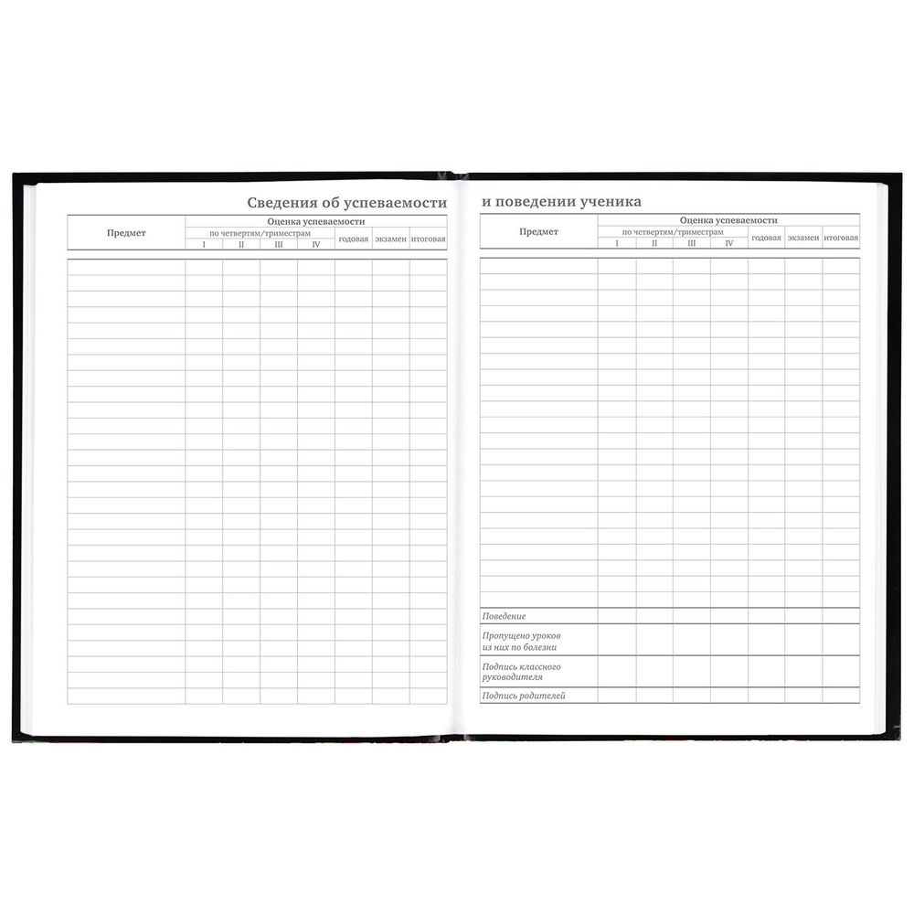 Дневник 5-11 класс 48 л., гибкая обложка, BRAUBERG, глянцевая ламинация, с подсказом, 