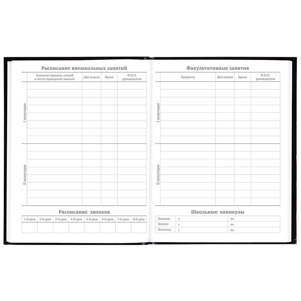 Дневник 5-11 класс 48 л., гибкая обложка, BRAUBERG, глянцевая ламинация, с подсказом, 