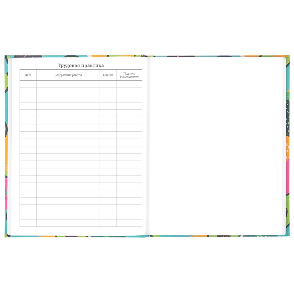 Дневник 5-11 класс 48 л., твердый, BRAUBERG, блестки, с подсказом, 