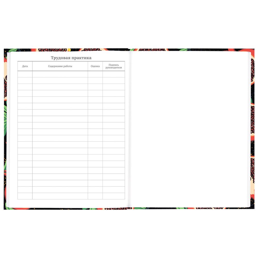 Дневник 5-11 класс 48 л., твердый, BRAUBERG, блестки, с подсказом, 