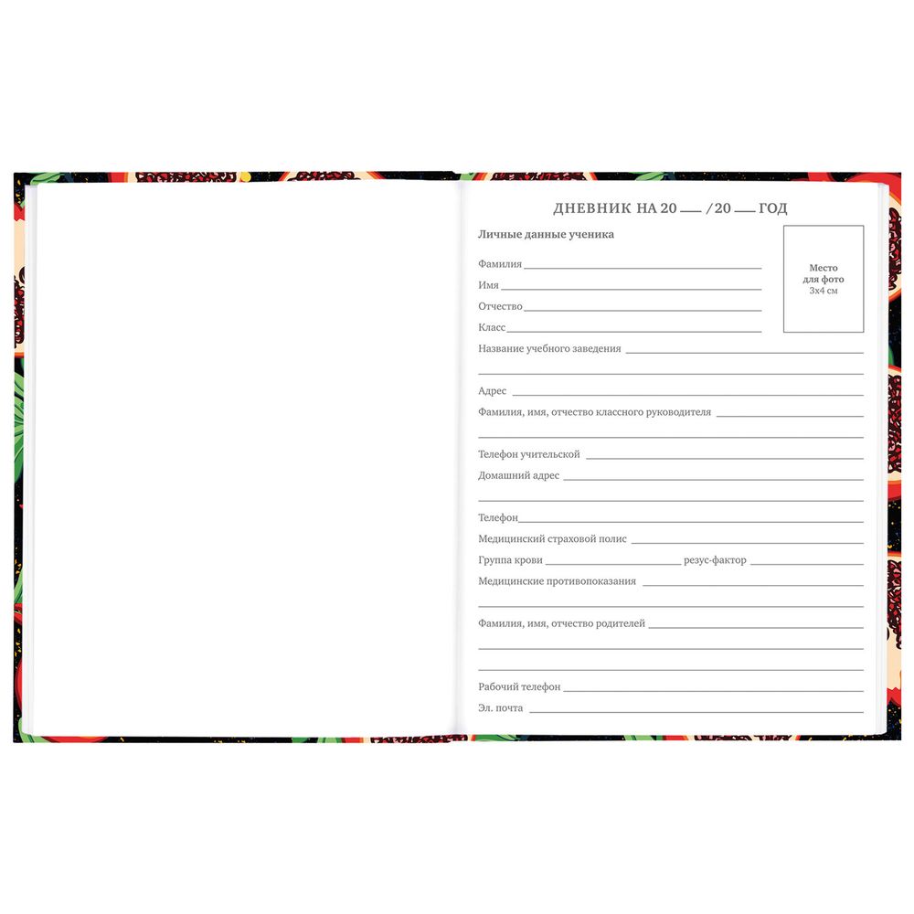 Дневник 5-11 класс 48 л., твердый, BRAUBERG, блестки, с подсказом, 