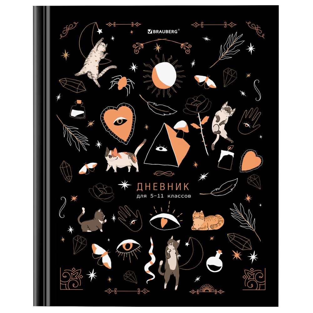 Дневник 5-11 класс 48 л., твердый, BRAUBERG, глянцевая ламинация, с подсказом, 