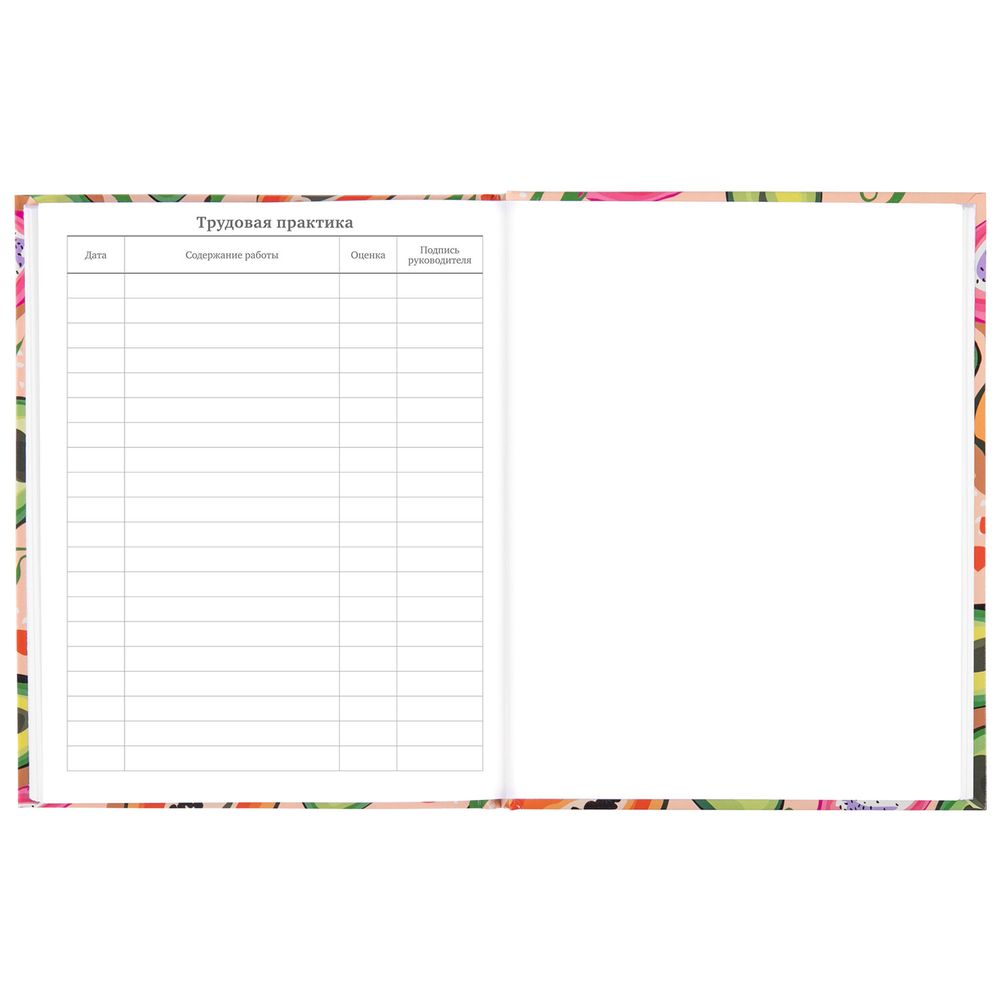 Дневник 5-11 класс 48 л., твердый, BRAUBERG, глянцевая ламинация, с подсказом, 