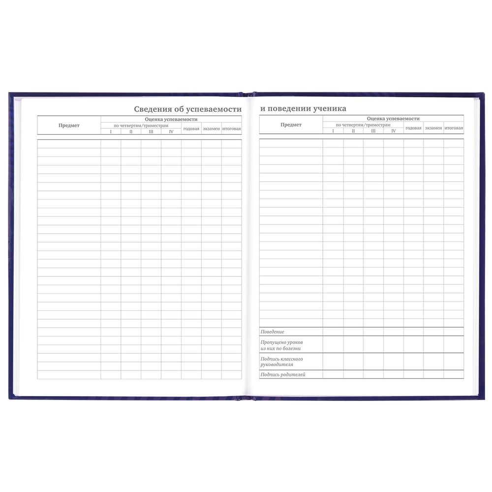 Дневник 5-11 класс 48 л., твердый, BRAUBERG, глянцевая ламинация, с подсказом, 