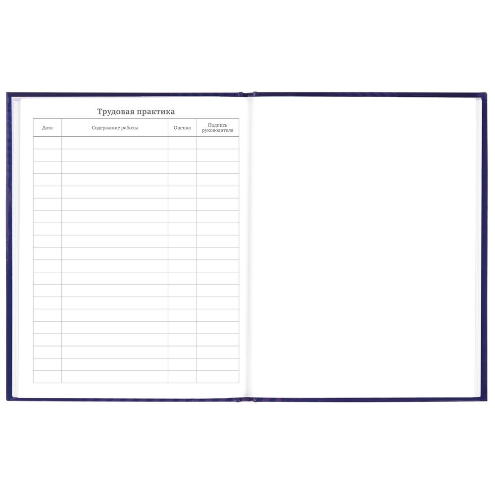 Дневник 5-11 класс 48 л., твердый, BRAUBERG, глянцевая ламинация, с подсказом, 