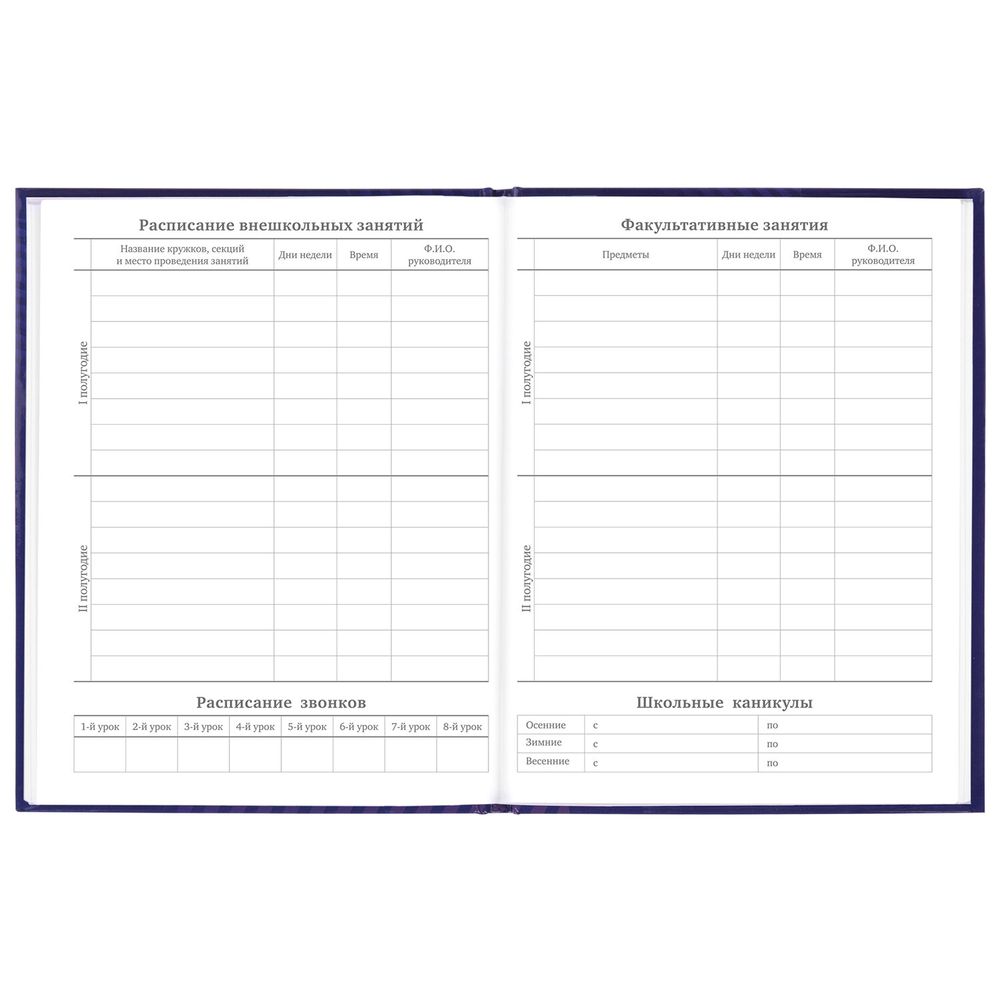 Дневник 5-11 класс 48 л., твердый, BRAUBERG, глянцевая ламинация, с подсказом, 