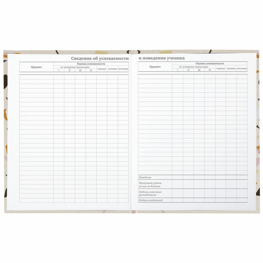 Дневник 5-11 класс 48 л., твердый, BRAUBERG, глянцевая ламинация, с подсказом, 