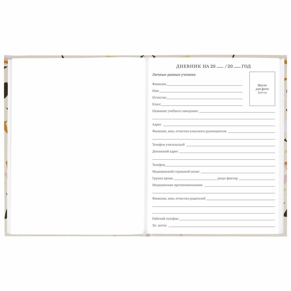 Дневник 5-11 класс 48 л., твердый, BRAUBERG, глянцевая ламинация, с подсказом, 