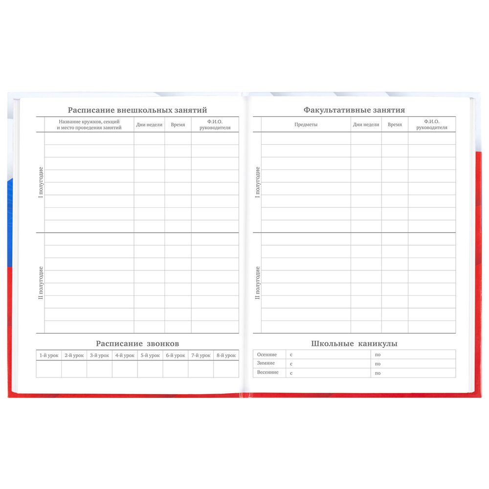 Дневник 5-11 класс 48 л., твердый, BRAUBERG, глянцевая ламинация, с подсказом, 