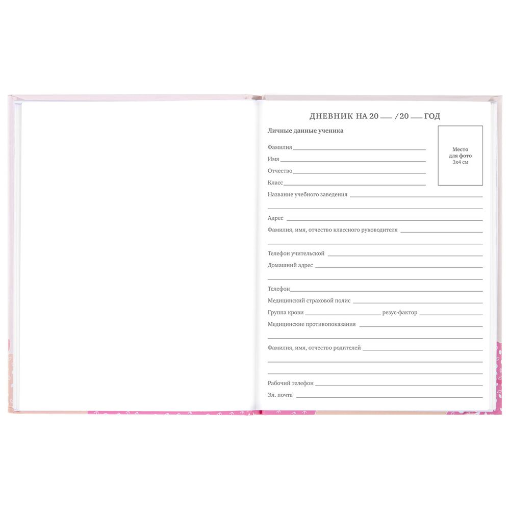 Дневник 5-11 класс 48 л., твердый, BRAUBERG, глянцевая ламинация, с подсказом, 