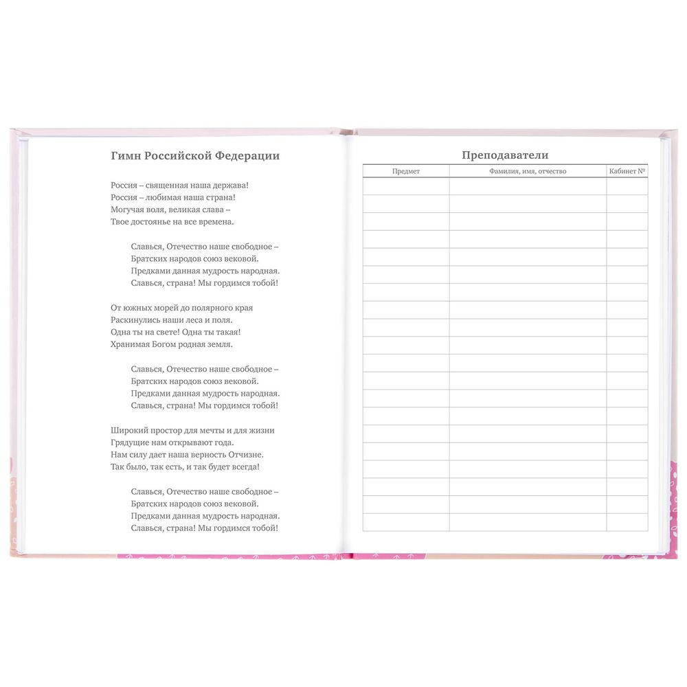 Дневник 5-11 класс 48 л., твердый, BRAUBERG, глянцевая ламинация, с подсказом, 