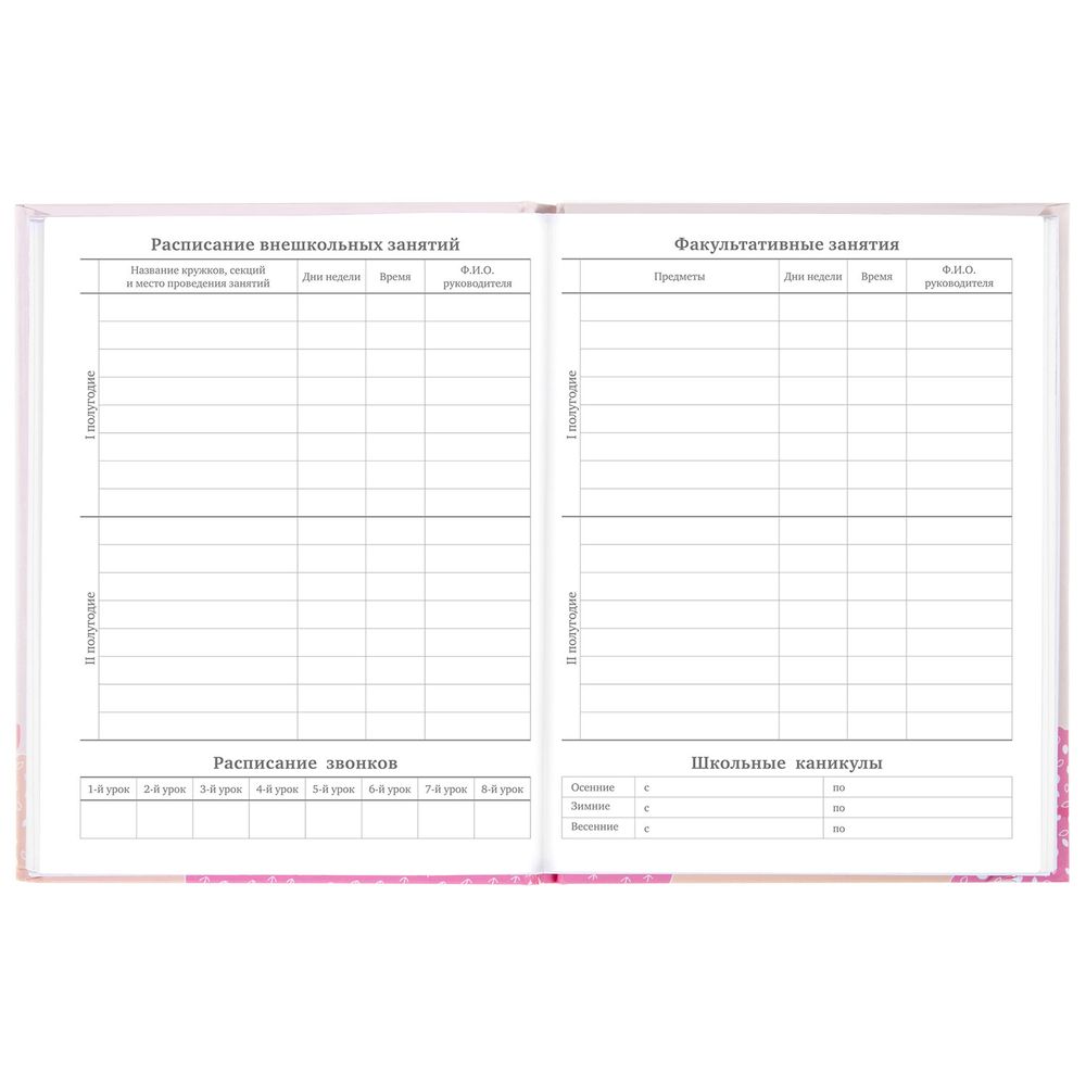 Дневник 5-11 класс 48 л., твердый, BRAUBERG, глянцевая ламинация, с подсказом, 