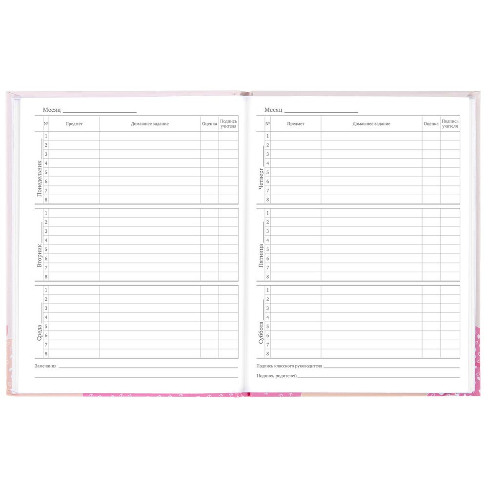 Дневник 5-11 класс 48 л., твердый, BRAUBERG, глянцевая ламинация, с подсказом, 
