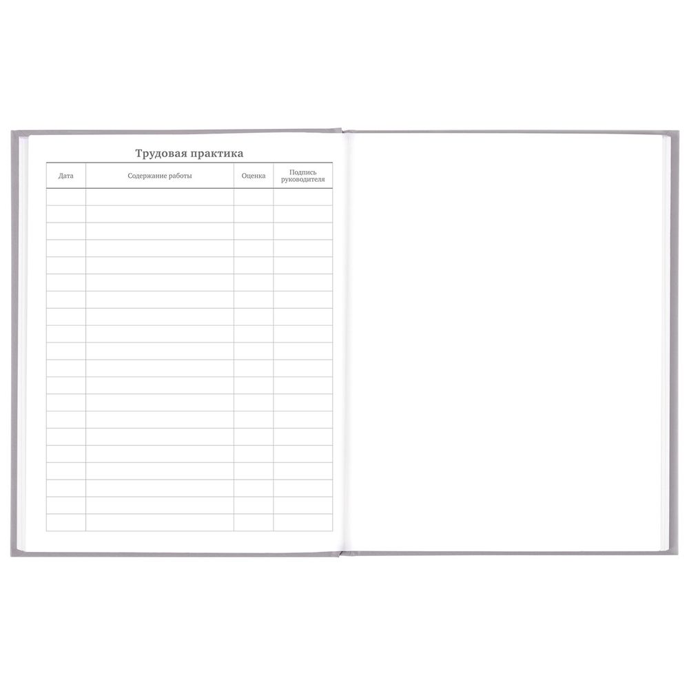 Дневник 5-11 класс 48 л., твердый, BRAUBERG, глянцевая ламинация, с подсказом, 