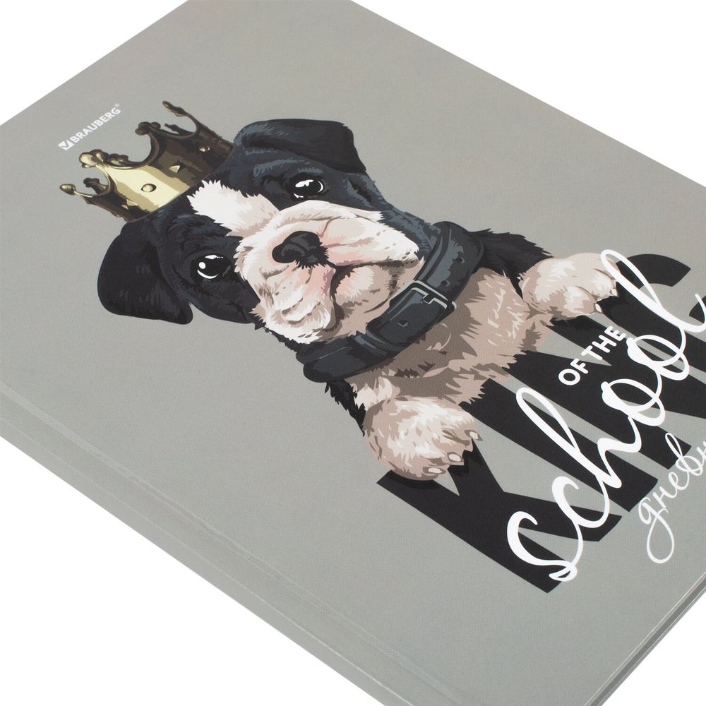 Дневник 5-11 класс 48 л., твердый, BRAUBERG, глянцевая ламинация, с подсказом, 