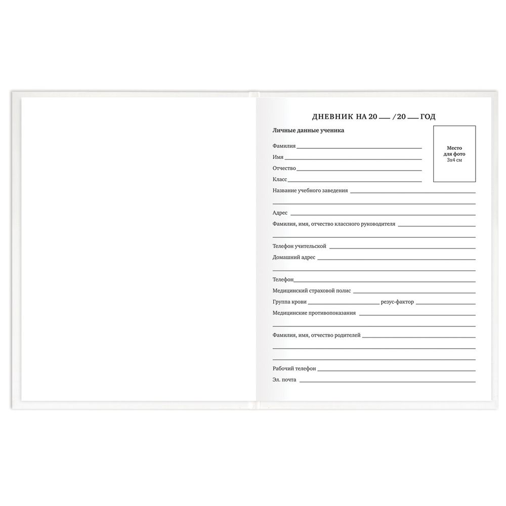 Дневник 1-11 класс 40 л., твердый, BRAUBERG, матовая ламинация, БЕЛЫЙ