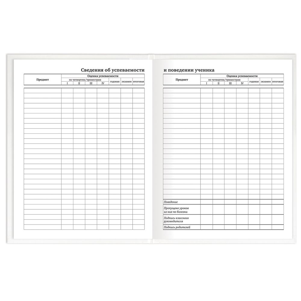 Дневник 1-11 класс 40 л., твердый, BRAUBERG, матовая ламинация, БЕЛЫЙ