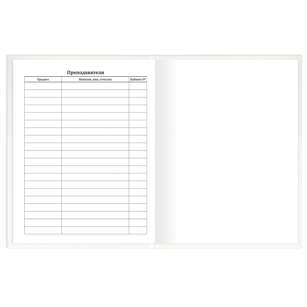 Дневник 1-11 класс 40 л., твердый, BRAUBERG, матовая ламинация, БЕЛЫЙ