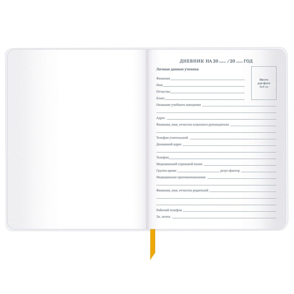 Дневник 1-11 класс 48 л., кожзам (гибкая), печать, фольга, BRAUBERG, 