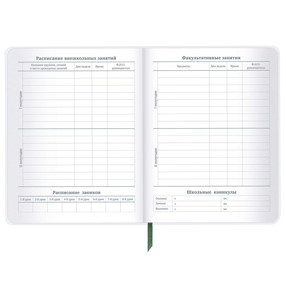 Дневник 1-11 класс 48 л., кожзам (гибкая), печать, фольга, BRAUBERG, 