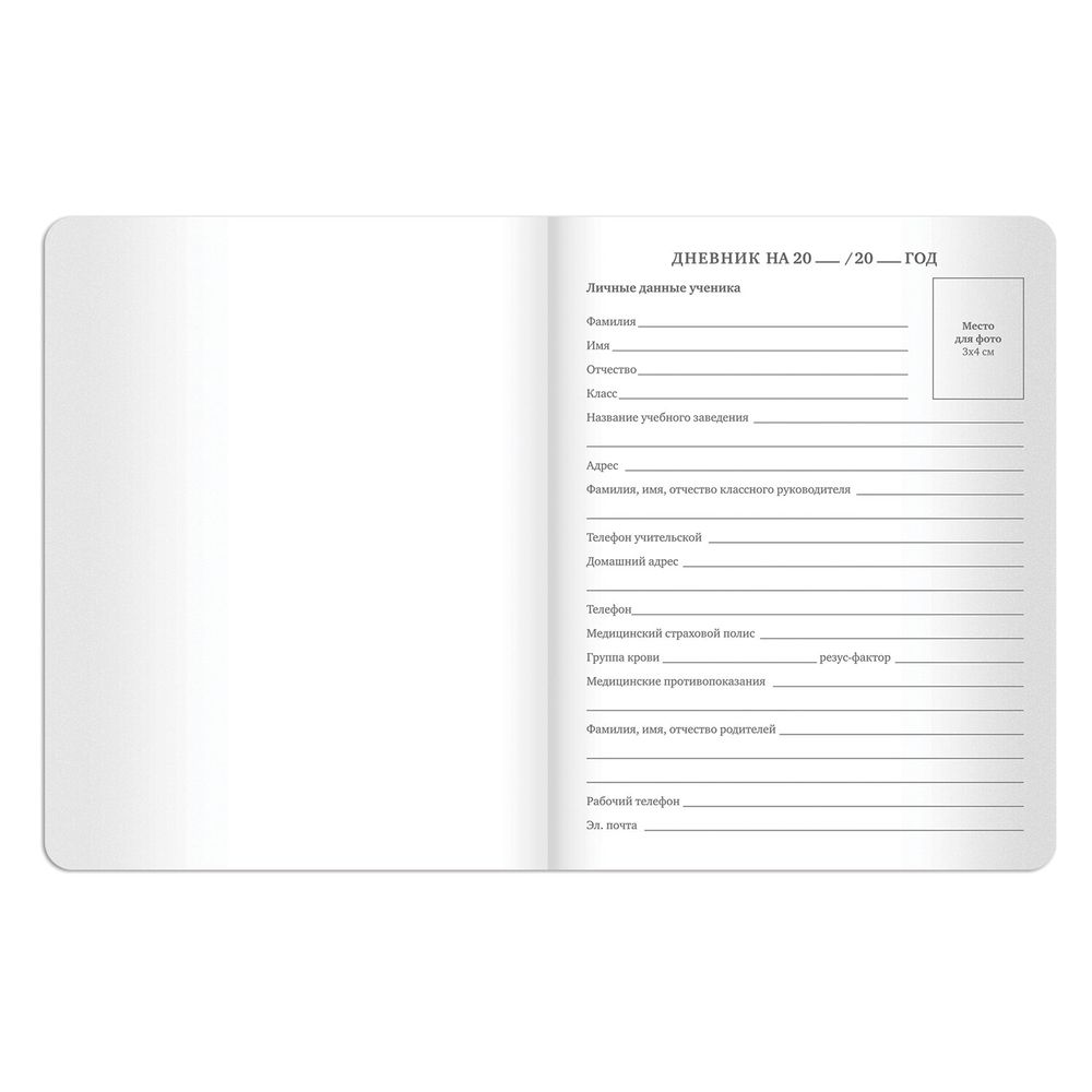 Дневник 1-11 класс 48 л., кожзам (гибкая), термотиснение, BRAUBERG 
