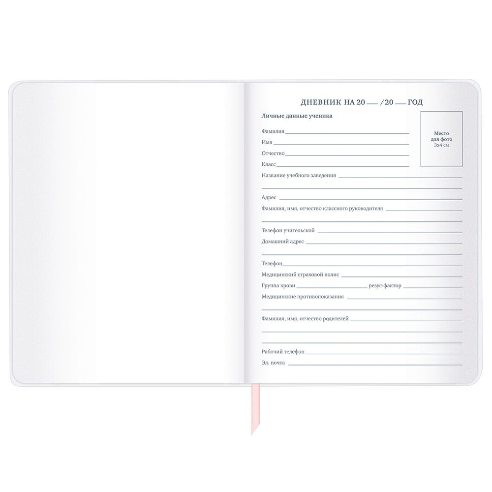 Дневник 1-11 класс 48 л., кожзам (гибкая), термотиснение, фольга, BRAUBERG, 