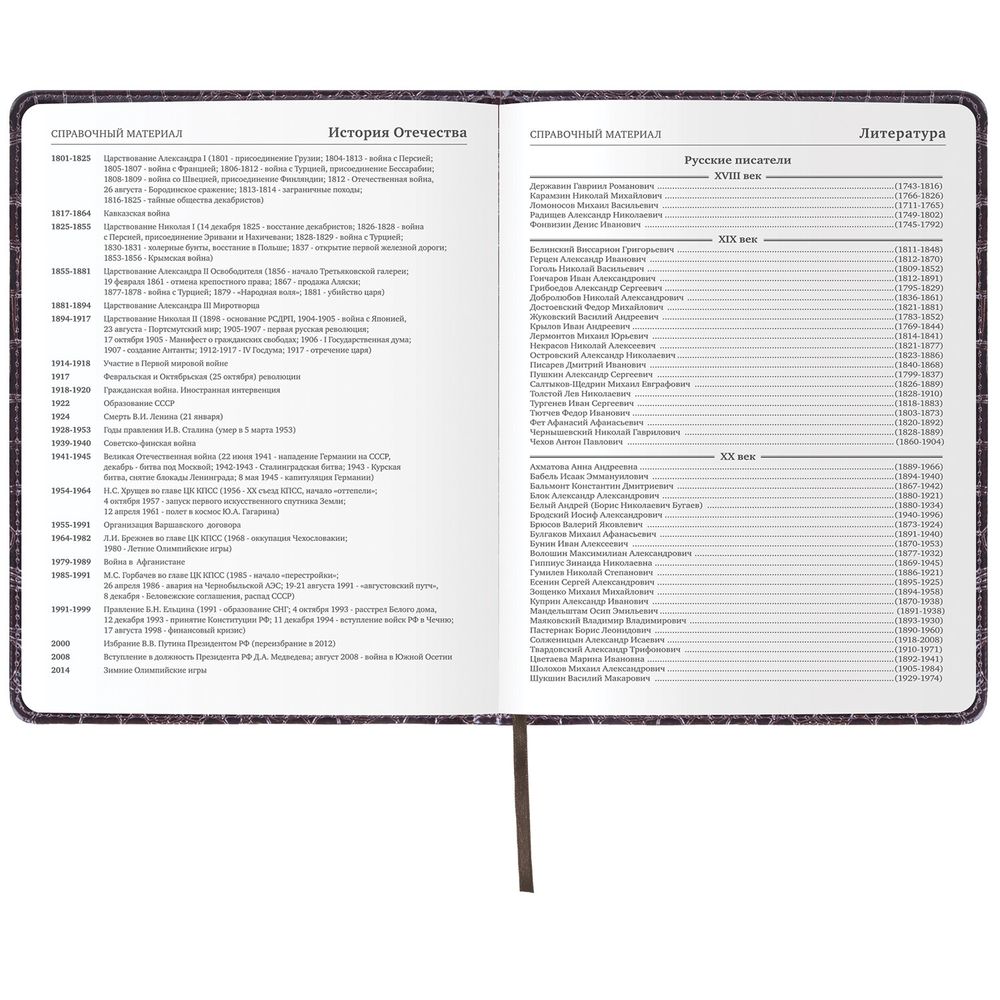 Дневник 1-11 класс 48 л., кожзам (твердая с поролоном), нашивка, BRAUBERG 