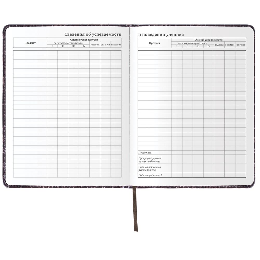 Дневник 1-11 класс 48 л., кожзам (твердая с поролоном), нашивка, BRAUBERG 