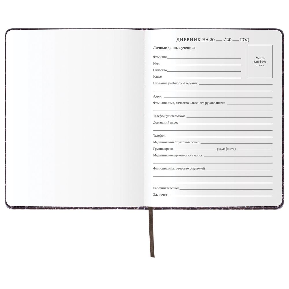 Дневник 1-11 класс 48 л., кожзам (твердая с поролоном), нашивка, BRAUBERG 