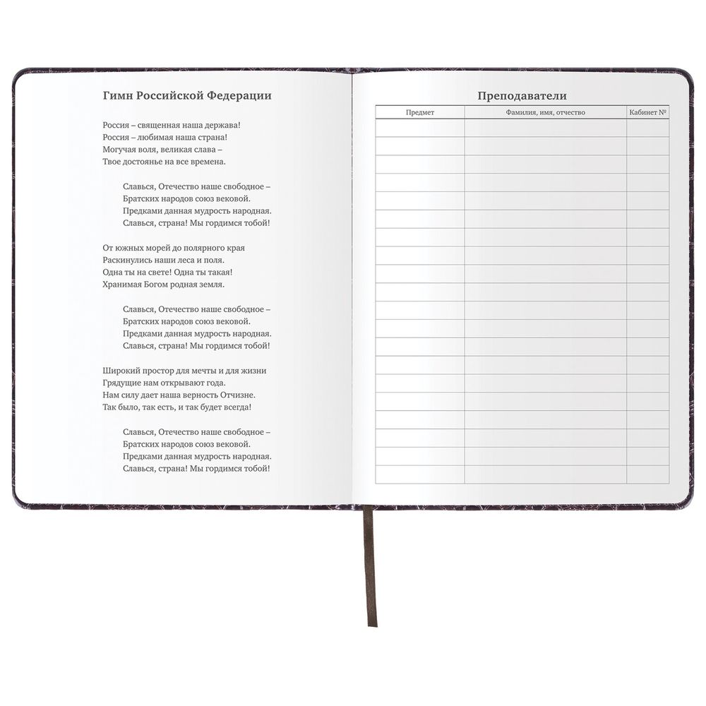 Дневник 1-11 класс 48 л., кожзам (твердая с поролоном), нашивка, BRAUBERG 