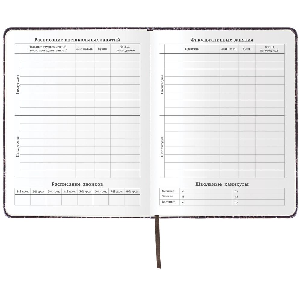 Дневник 1-11 класс 48 л., кожзам (твердая с поролоном), нашивка, BRAUBERG 