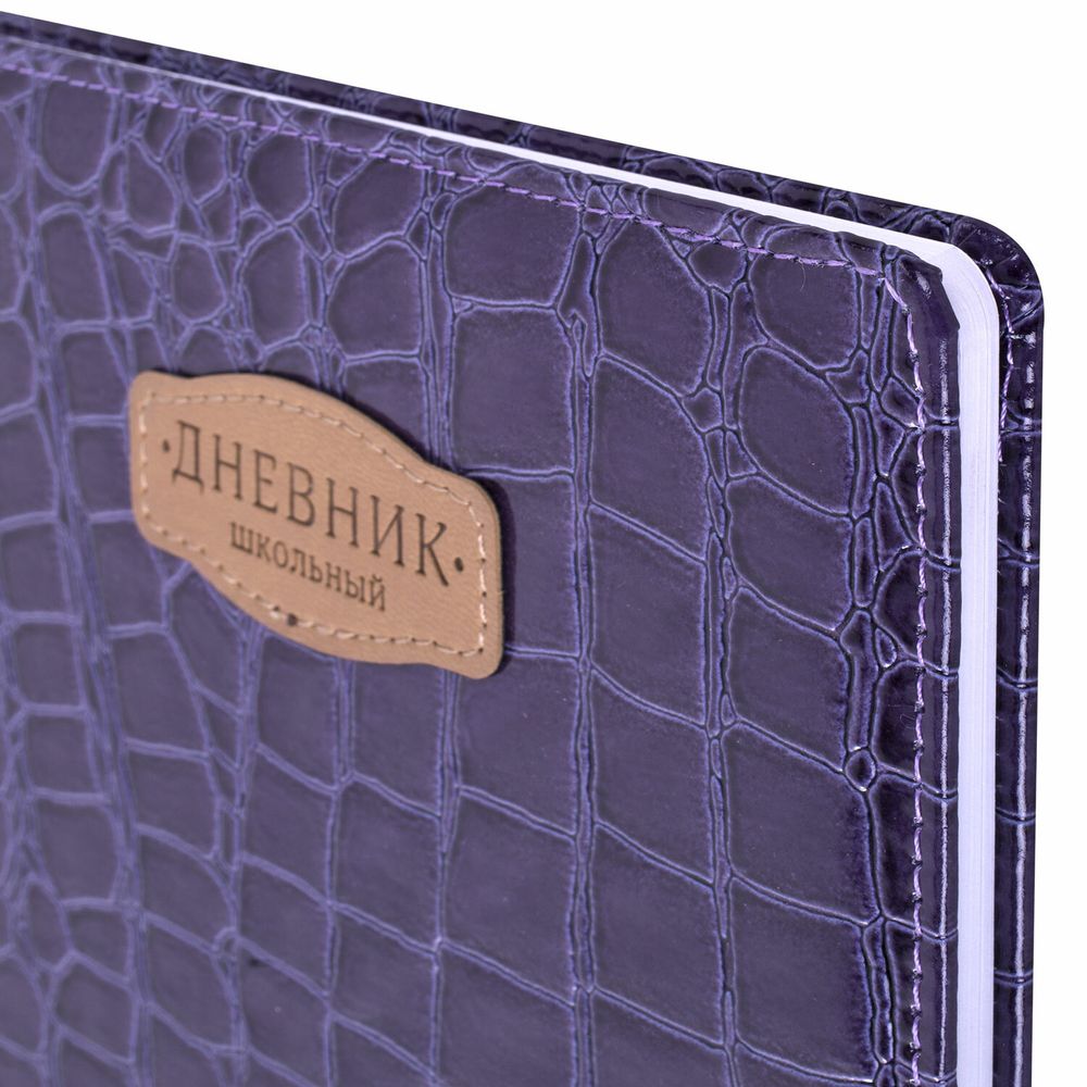 Дневник 1-11 класс 48 л., кожзам (твердая с поролоном), нашивка, BRAUBERG 