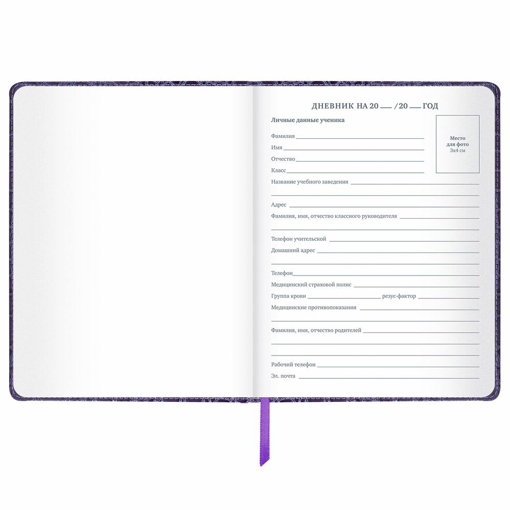 Дневник 1-11 класс 48 л., кожзам (твердая с поролоном), нашивка, BRAUBERG 