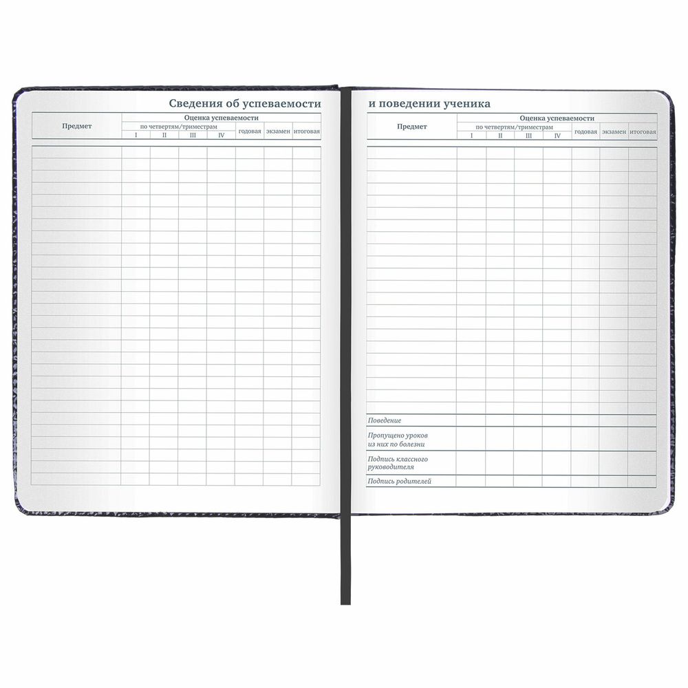 Дневник 1-11 класс 48 л., кожзам (твердая с поролоном), нашивка, BRAUBERG 