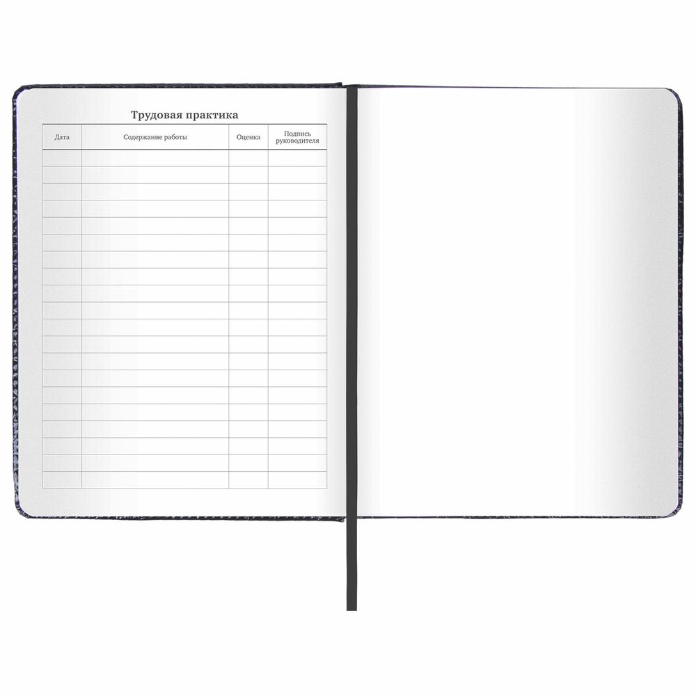 Дневник 1-11 класс 48 л., кожзам (твердая с поролоном), нашивка, BRAUBERG 