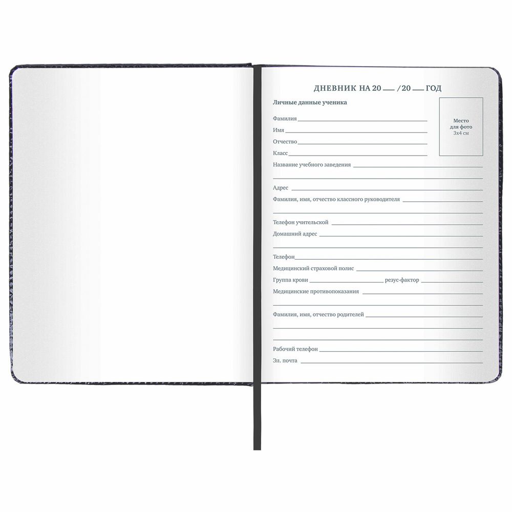 Дневник 1-11 класс 48 л., кожзам (твердая с поролоном), нашивка, BRAUBERG 