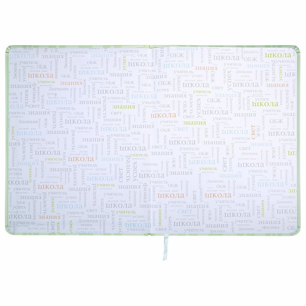 Дневник 1-11 класс 48 л., кожзам (твердая с поролоном), печать, наклейки, BRAUBERG, 