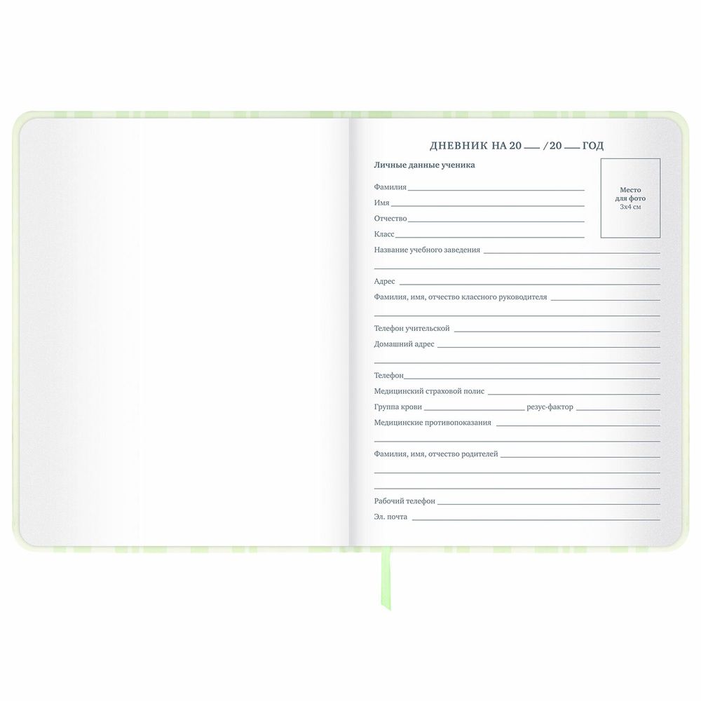 Дневник 1-11 класс 48 л., кожзам (твердая с поролоном), печать, наклейки, BRAUBERG, 