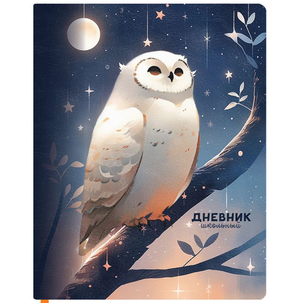 Дневник 1-11 класс 48 л., кожзам (твердая с поролоном), печать, наклейки, BRAUBERG, 