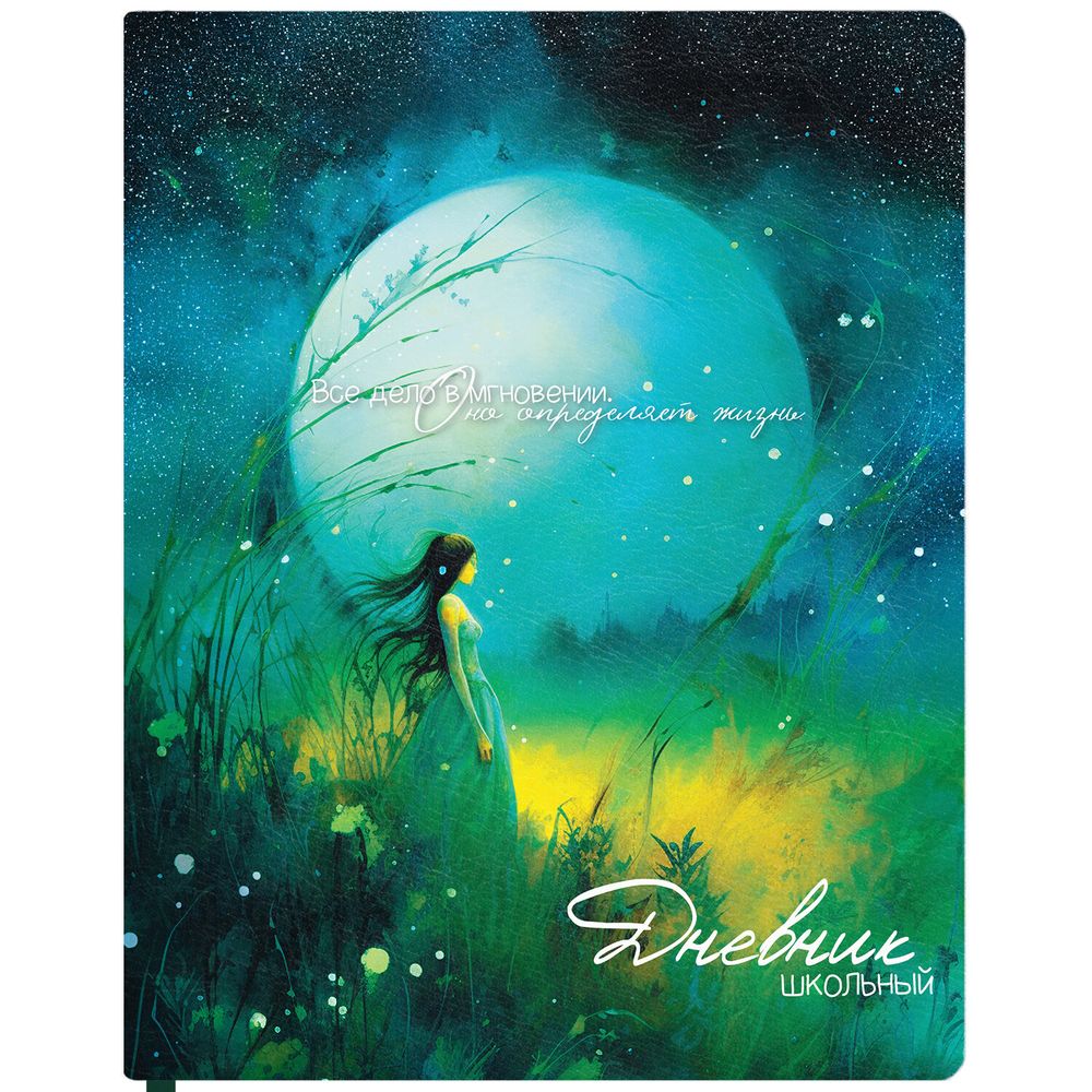 Дневник 1-11 класс 48 л., кожзам (твердая с поролоном), печать, резинка, конверт, BRAUBERG, 