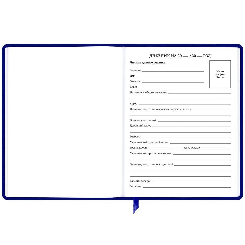 Дневник 1-11 класс 48 л., кожзам (твердая с поролоном), фольга, BRAUBERG HOLIDAY, 
