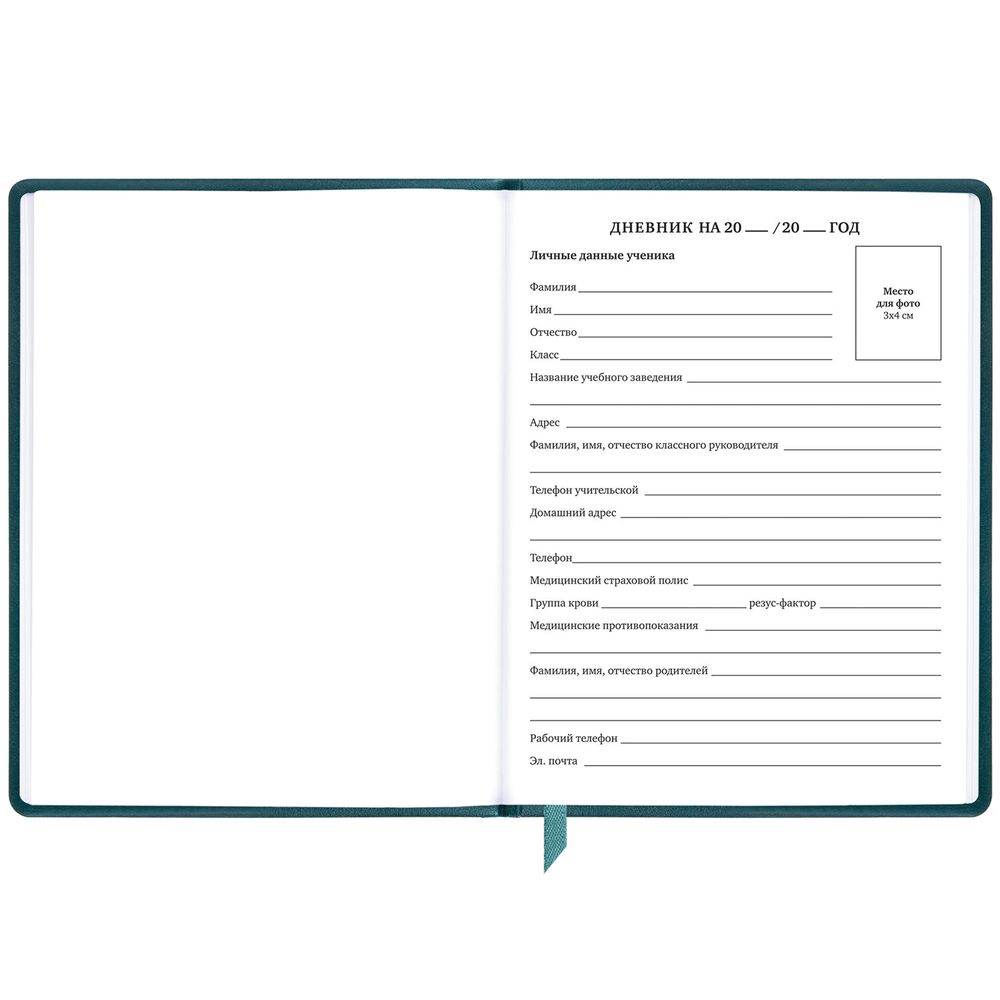 Дневник 1-11 класс 48 л., кожзам (твердая), печать, резинка, конверт, BRAUBERG, 