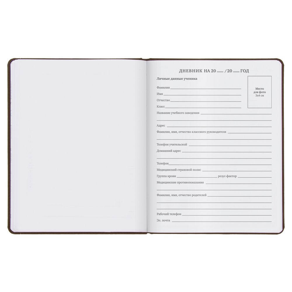 Дневник 1-11 класс 48 л., кожзам (твердая), термотиснение, BRAUBERG 