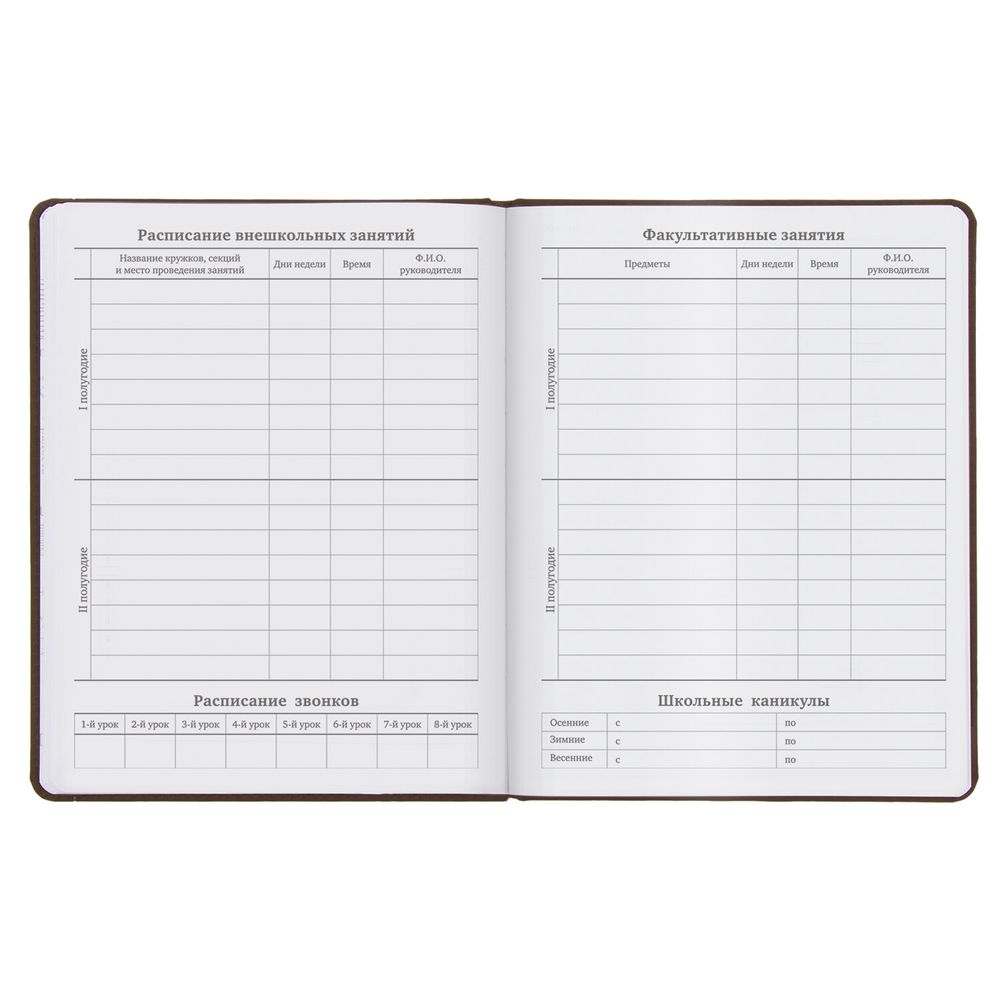 Дневник 1-11 класс 48 л., кожзам (твердая), термотиснение, BRAUBERG 